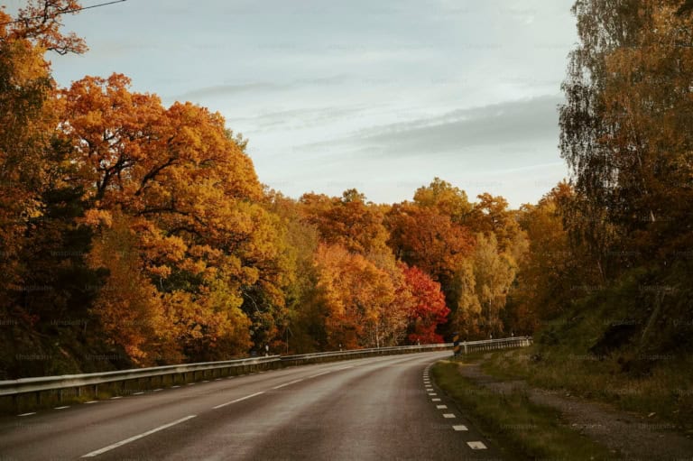 Safe Roads Challenge Powered by TrypScore - Fall Driving Tips Image