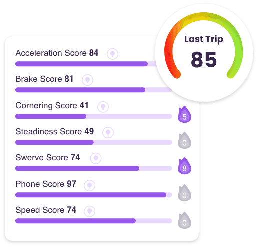 Safe Roads Challenge Scoring Image